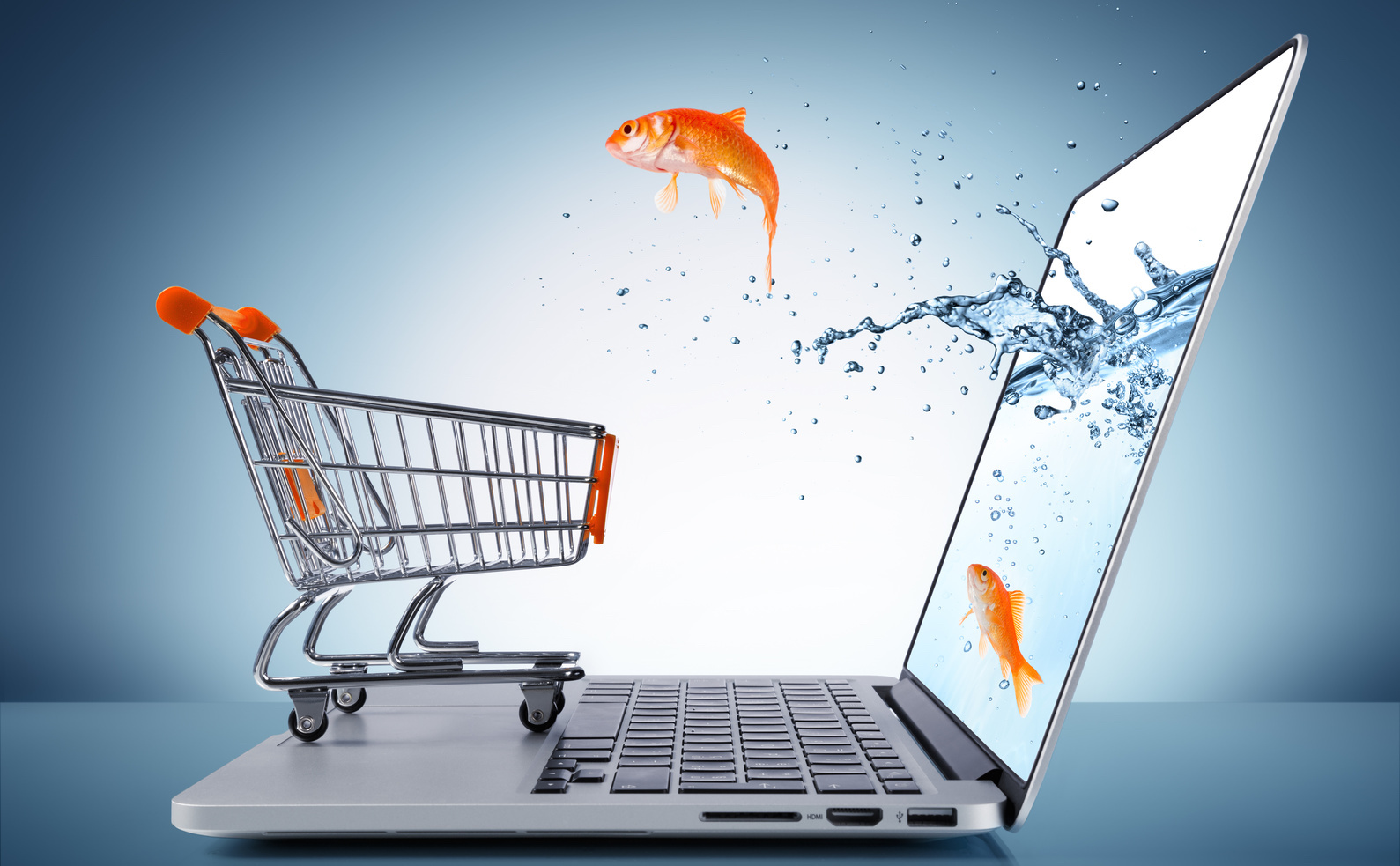 eCommerce Web Development